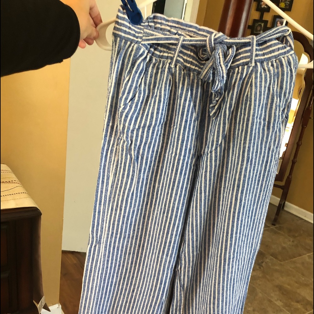 Pinstriped plazolo pant